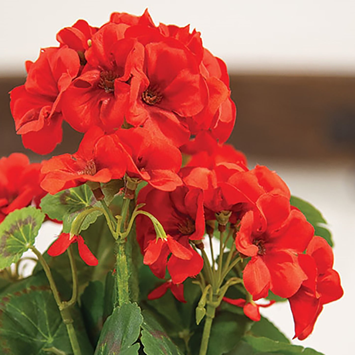 Faux red geranium floral pick with fuzzy green branches and natural-looking foliage