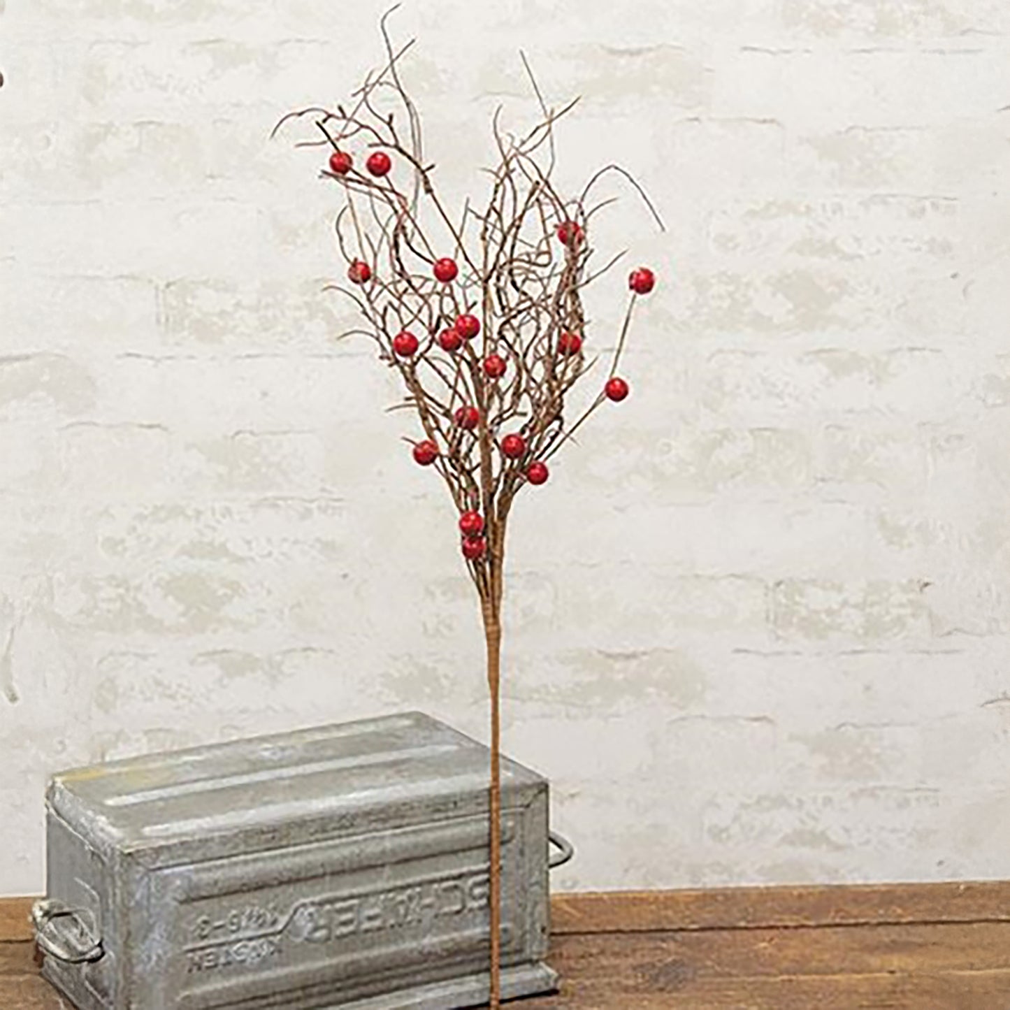 Decorative plant with red berries next to a metal box against a white brick wall.