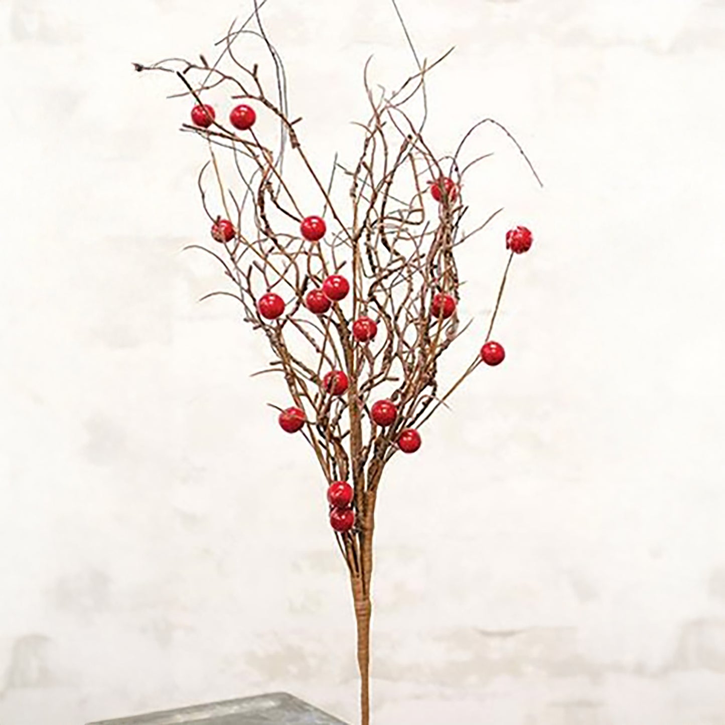 Decorative branch with red berries on a white background