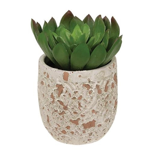 Mini faux succulent in round cement pot with farmhouse-inspired finish