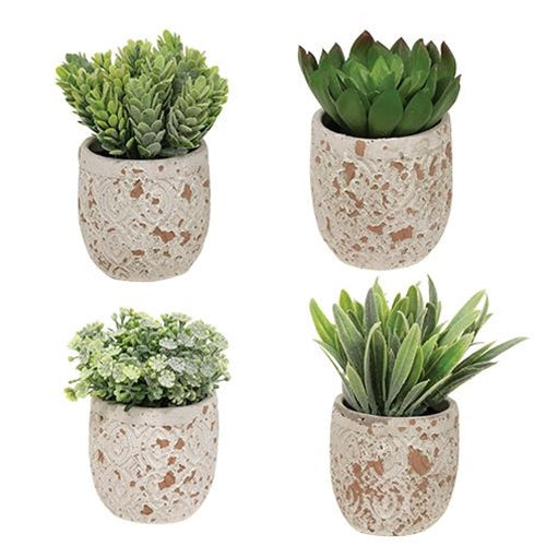 Realistic mini succulent decor in chipped white cement planter