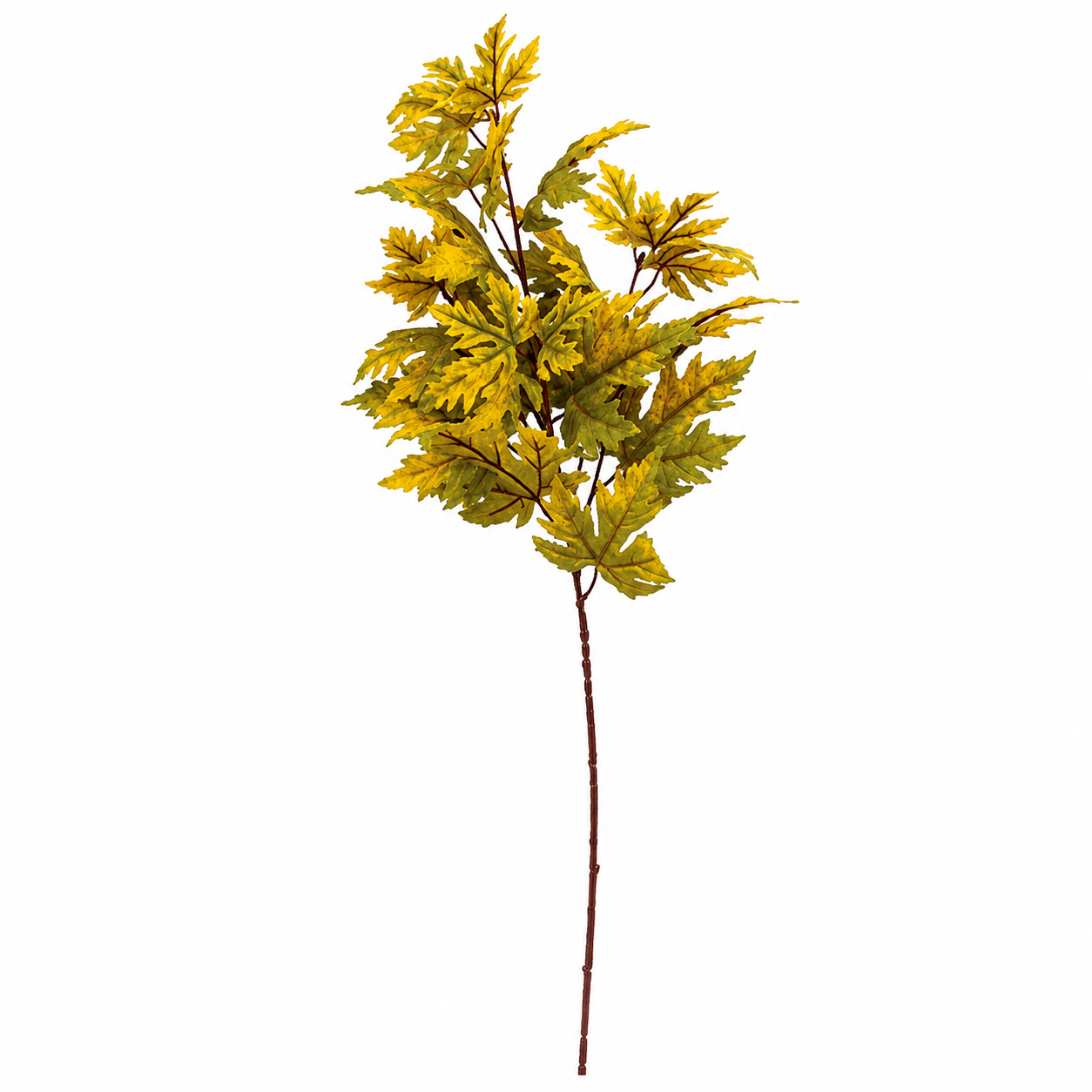 An artificial autumn maple leaf stem with yellow and green leaves on a brown branch, isolated on a white background.