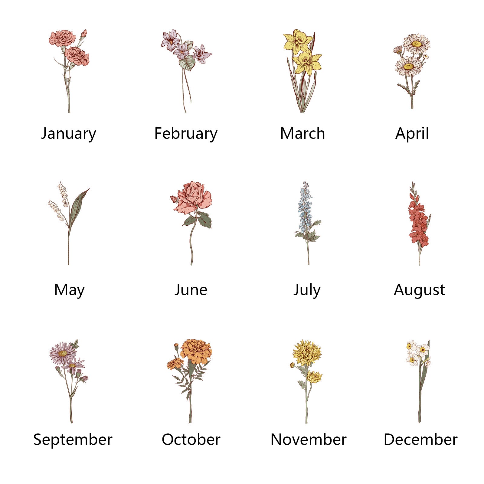 A graphic showcasing the twelve available birth flowers, each representing a different month, highlighting the floral designs that can be customized on the vase.