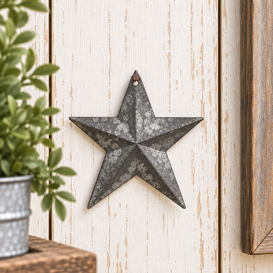 A distressed galvanized metal five-point star wall decor piece mounted on a whitewashed wood panel wall, with a potted green plant on the left and a wooden frame edge on the right.
