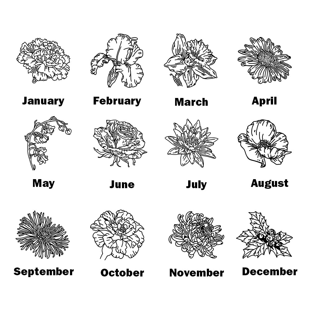 A graphic showing each birth flower corresponding to the months of the year, January, February, March, April, May, June, July, August, September, October, November, December