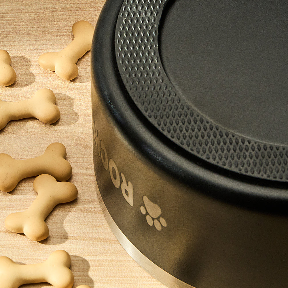 Durable and easy-to-clean stainless steel dog bowl with a personalized design, featuring a stable non-slip base for everyday pet feeding in blue, red, or black.