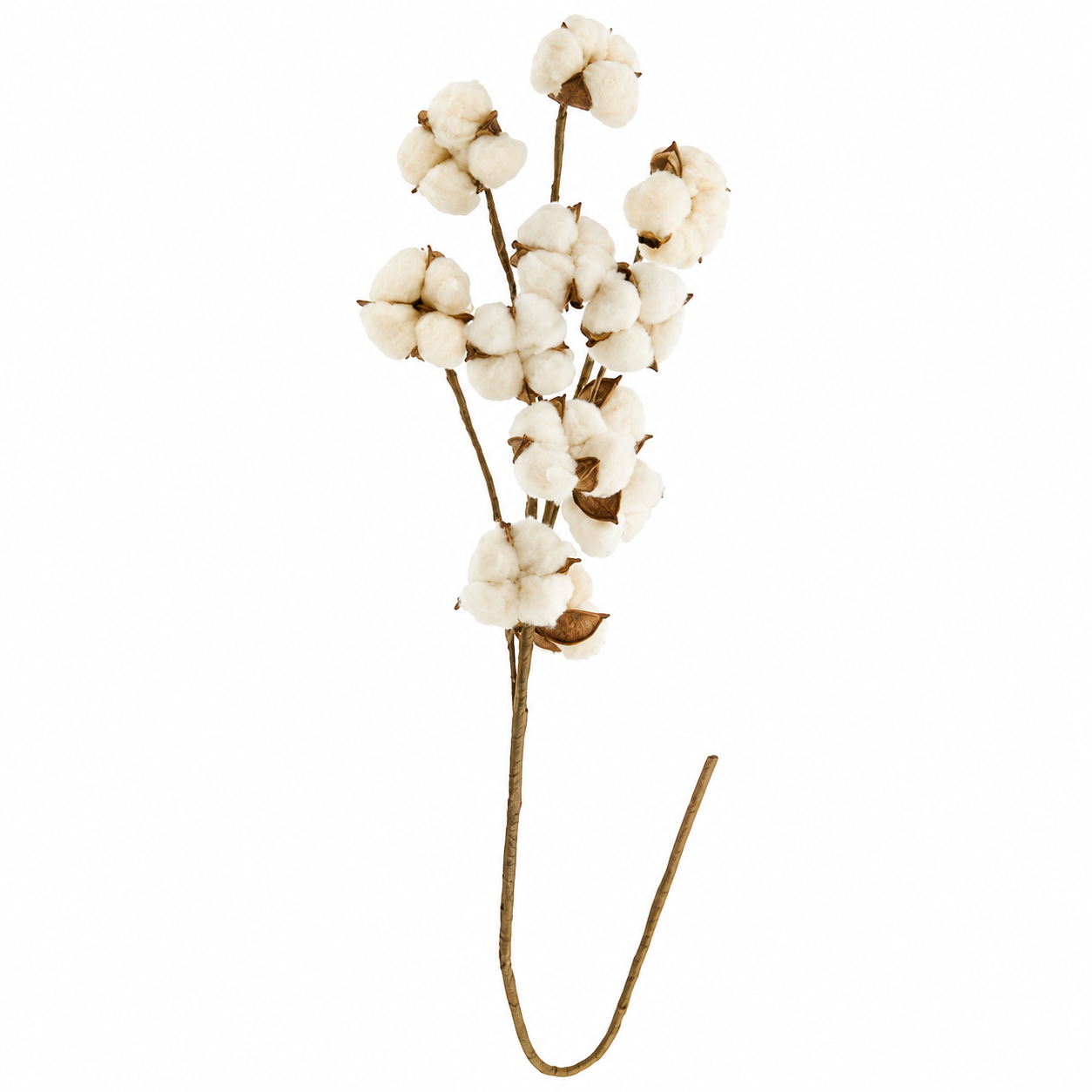 Artificial cotton stem with several fluffy off-white cotton bolls on a brown stem, isolated on a white background.