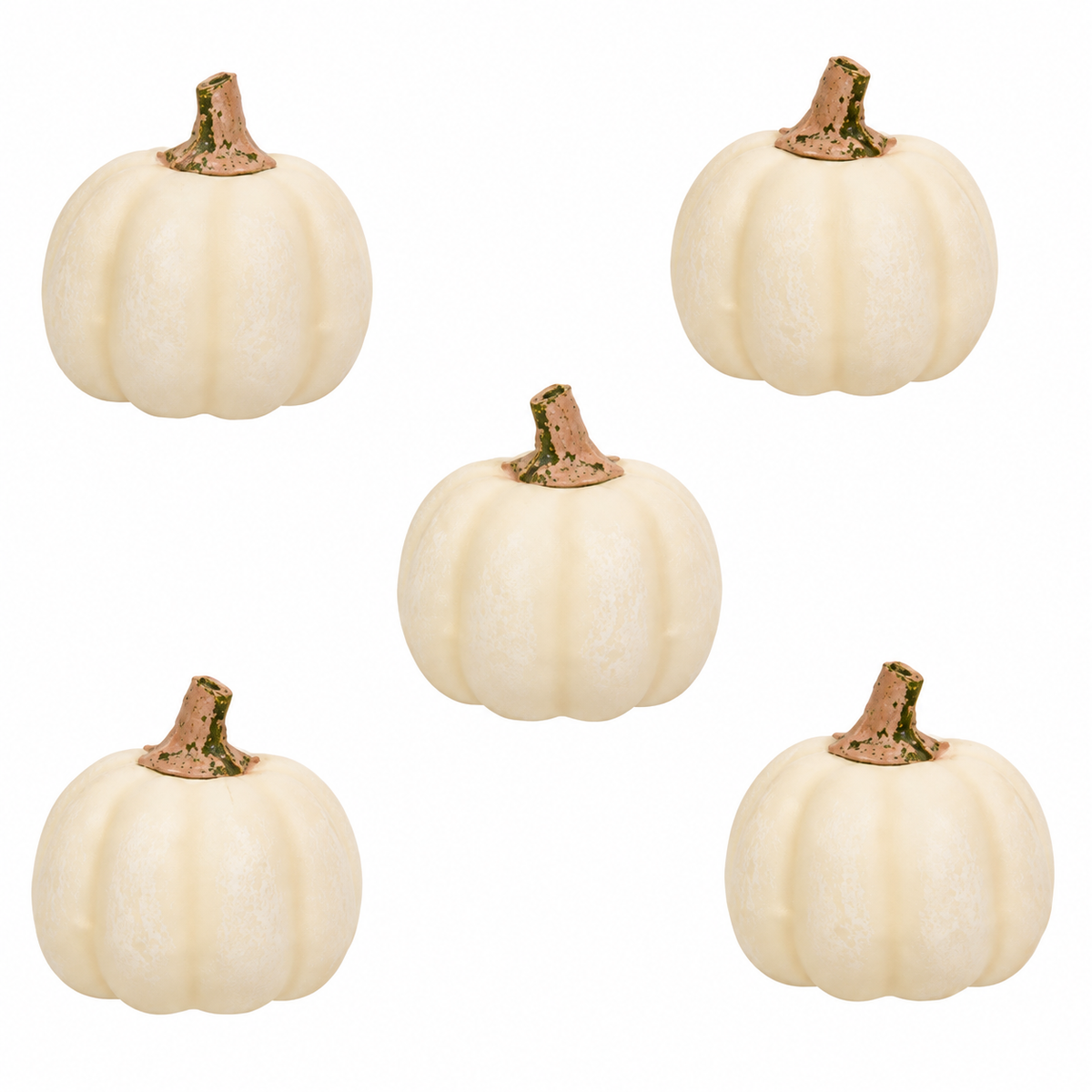 Five small faux white pumpkins with textured stems arranged on a plain white background.