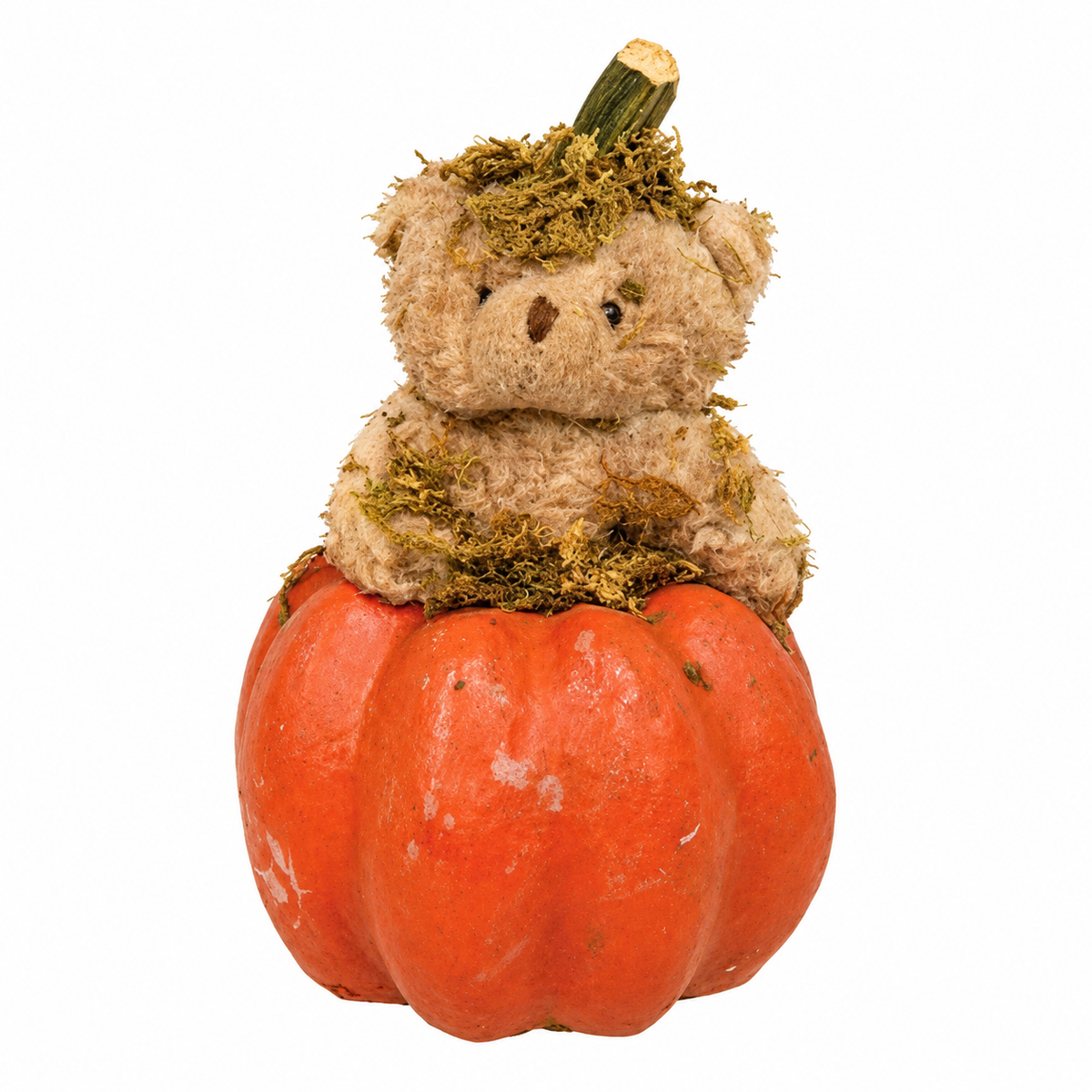 Mossy Teddy Bear in Papier Mache Pumpkin