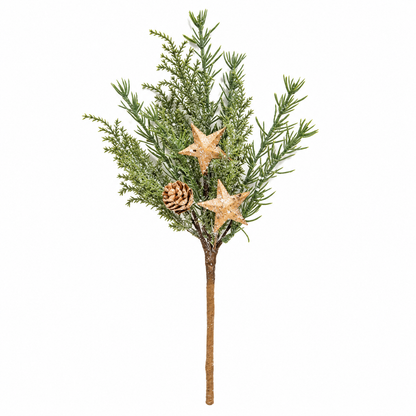 A single Christmas tree branch with green needle-like foliage, two glittery gold star ornaments, and one small pinecone, isolated on a white background.