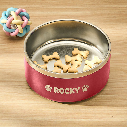 Personalized stainless steel dog bowl with a non-slip base, custom engraved with a pet’s name for a stylish and practical feeding solution in blue, red, or black.