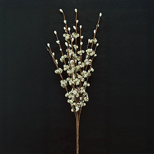 Cream-colored Curly Q berry pick with coiled foam spirals and ivory pips on a 12-inch brown-wrapped floral stem