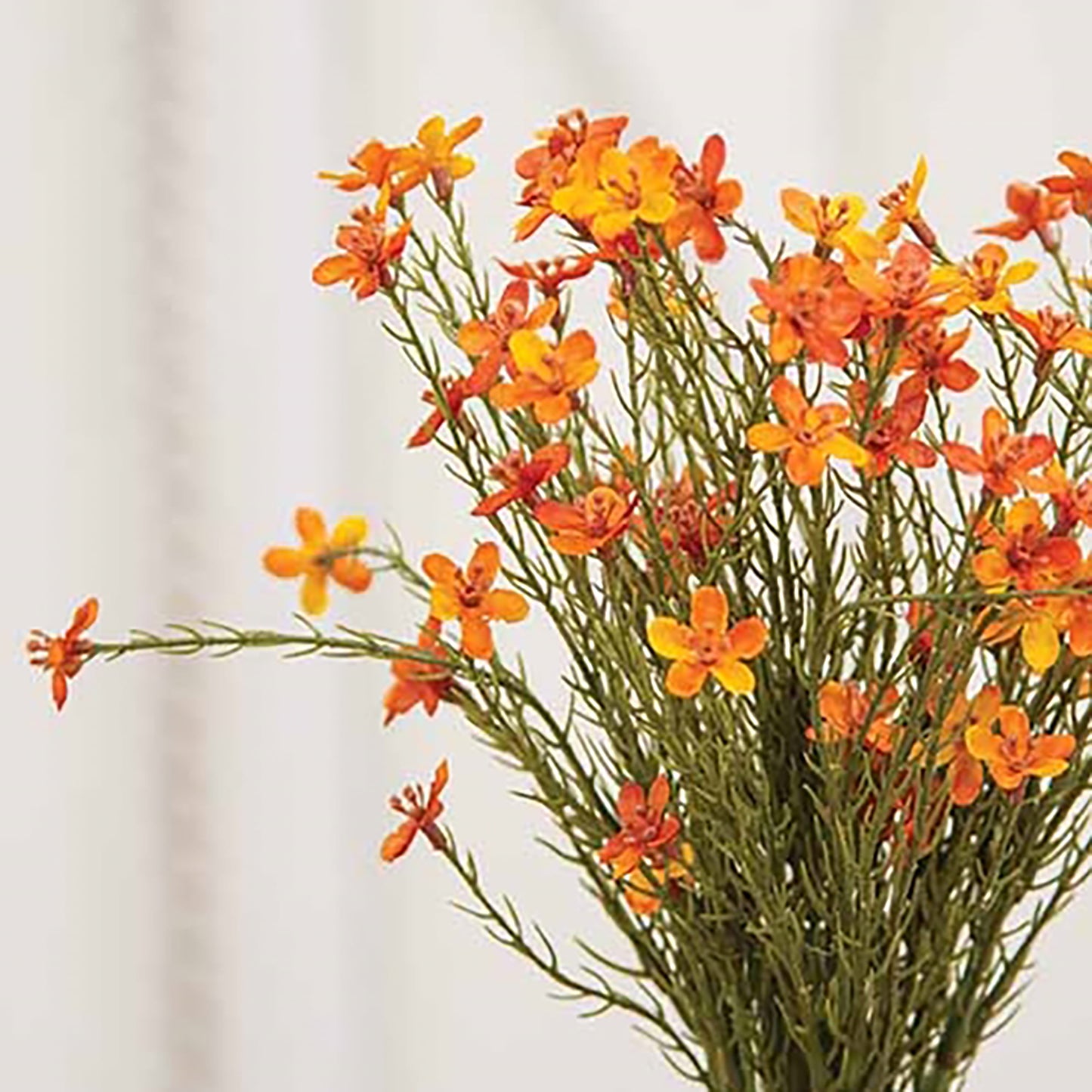 Bouquet of orange and yellow flowers on a white background