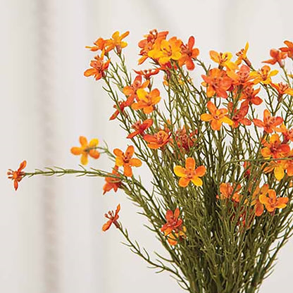Bouquet of orange and yellow flowers on a white background