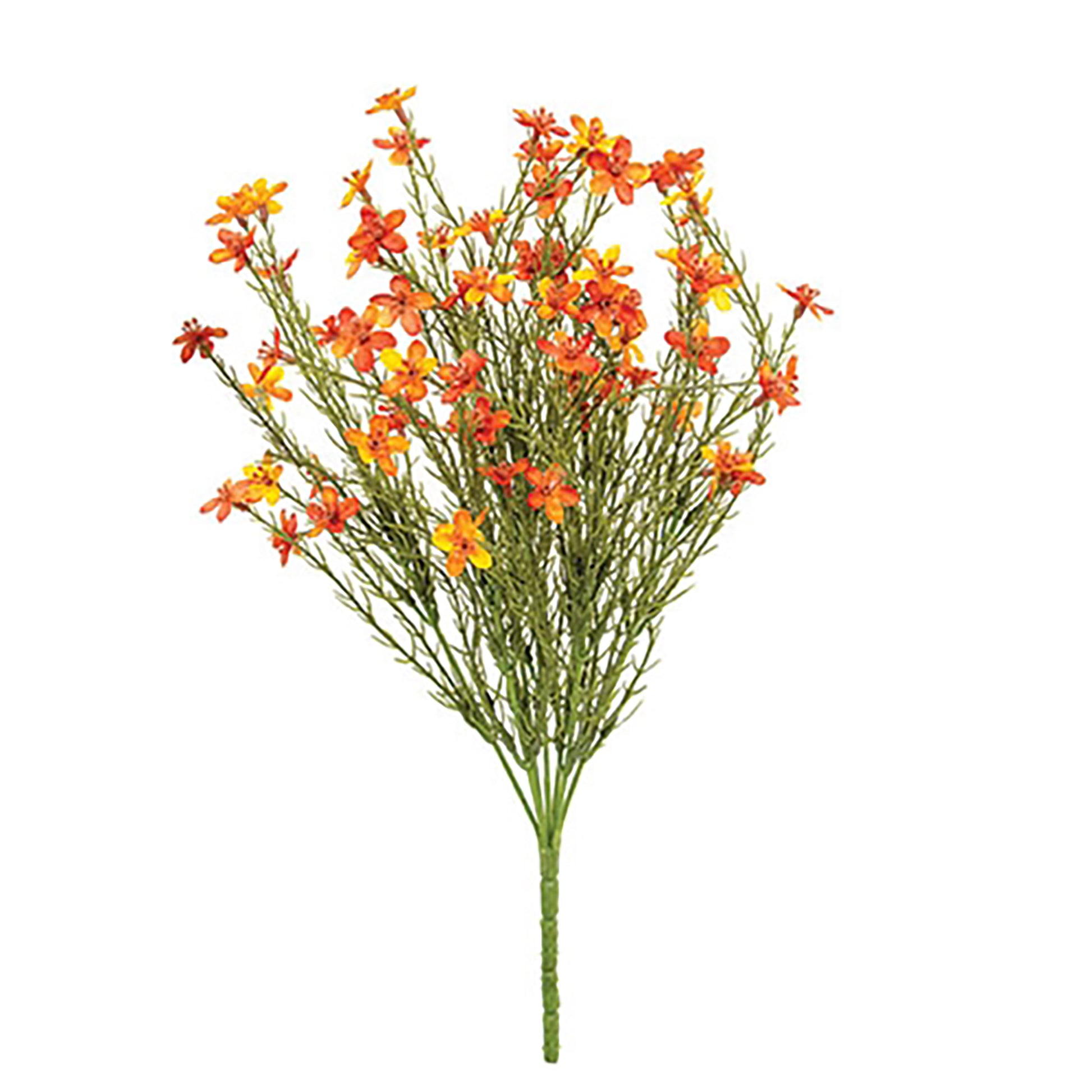 Bouquet of orange flowers with green stems on a white background