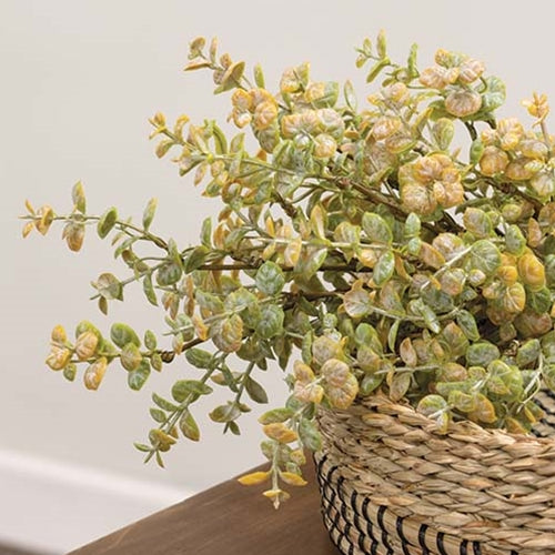 Golden Harvest Leaves Bush with soft green and gold foliage on brown wrapped stem