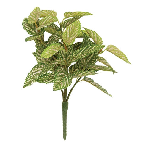 Close-up of pink-veined artificial Fittonia leaves in decorative floral arrangement
