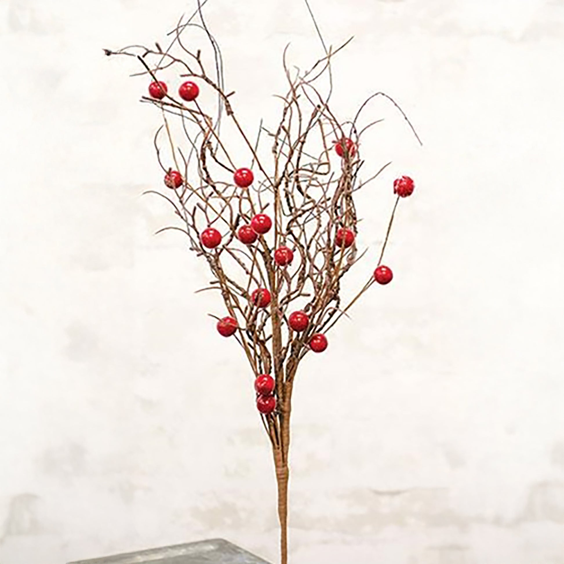 Decorative branch with red berries on a white background