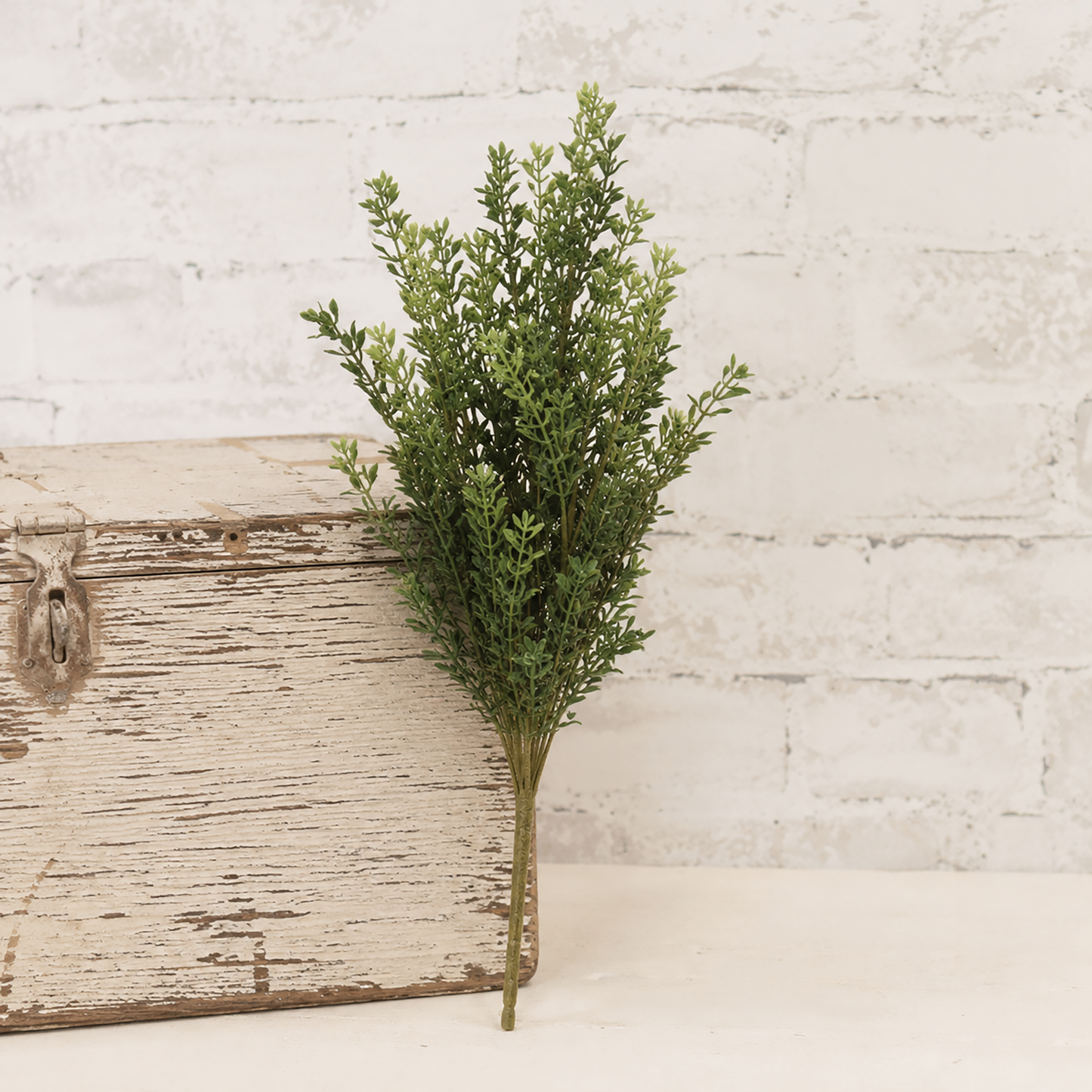 New England boxwood bush leaning against a distressed wooden crate in front of a whitewashed brick wall in a bright farmhouse setting.