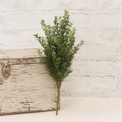 New England boxwood bush leaning against a distressed wooden crate in front of a whitewashed brick wall in a bright farmhouse setting.