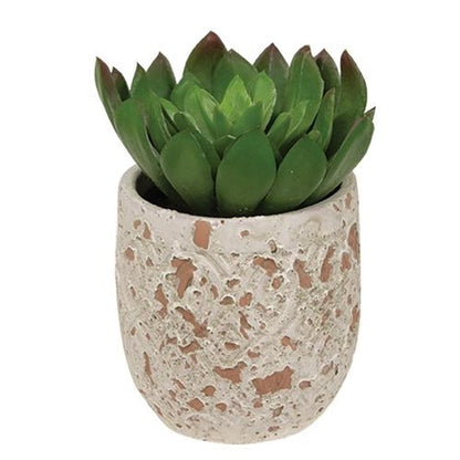 Mini faux succulent in round cement pot with farmhouse-inspired finish