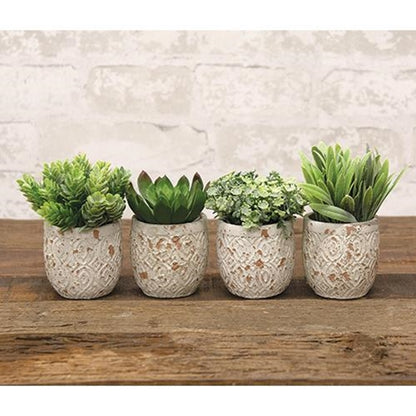Artificial succulent in distressed cement pot with chipped white and tan finish