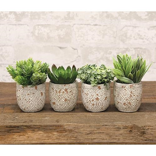 Artificial succulent in distressed cement pot with chipped white and tan finish