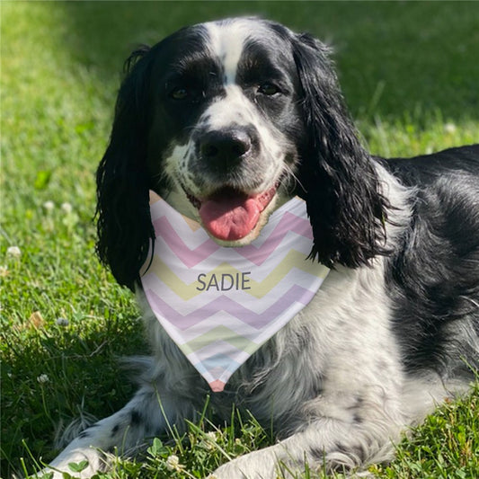A personalized pet bandana featuring an Easter chevron pattern, customized with a pet’s name, available in small, medium, and large sizes.
