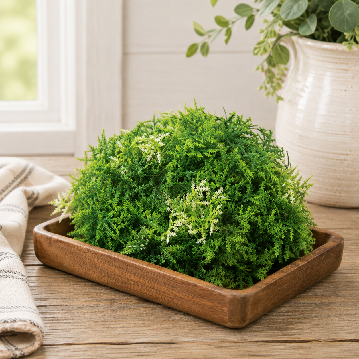 Forest Moss greenery half sphere with dense small leaves in varied shades of green and a rounded moss-like shape.
